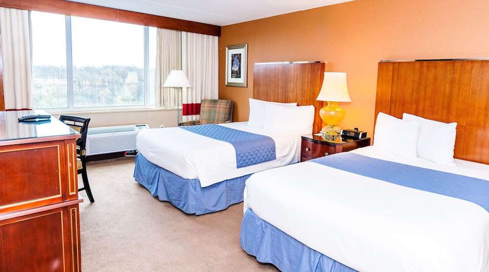Standard Double Room, 2 Double Beds photo 1