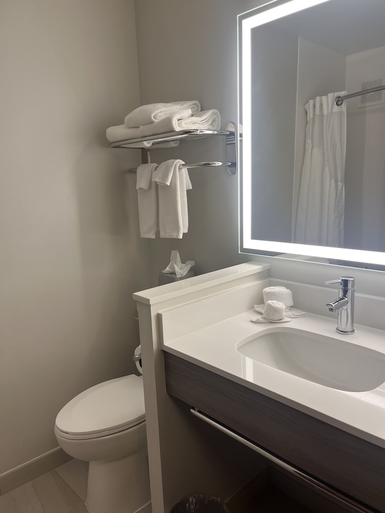 Suite, 1 King Bed - Photo 10