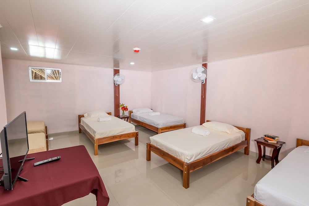 Quadruple Room photo 1