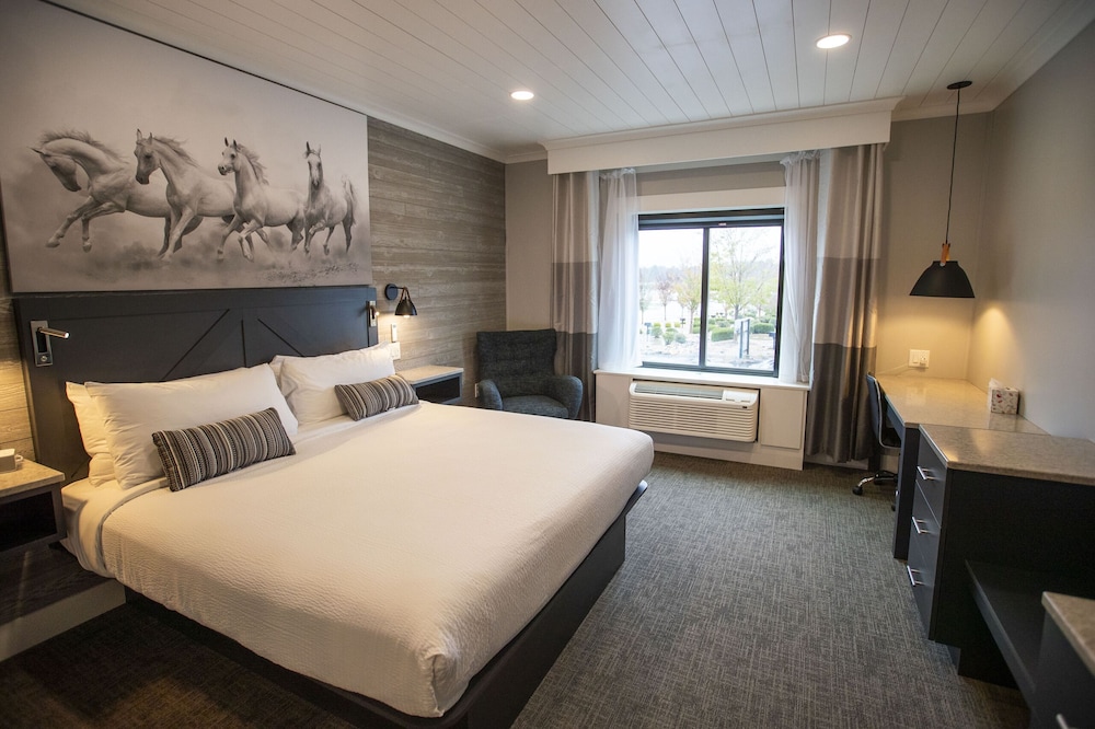 Room, 1 King Bed, Mountain View