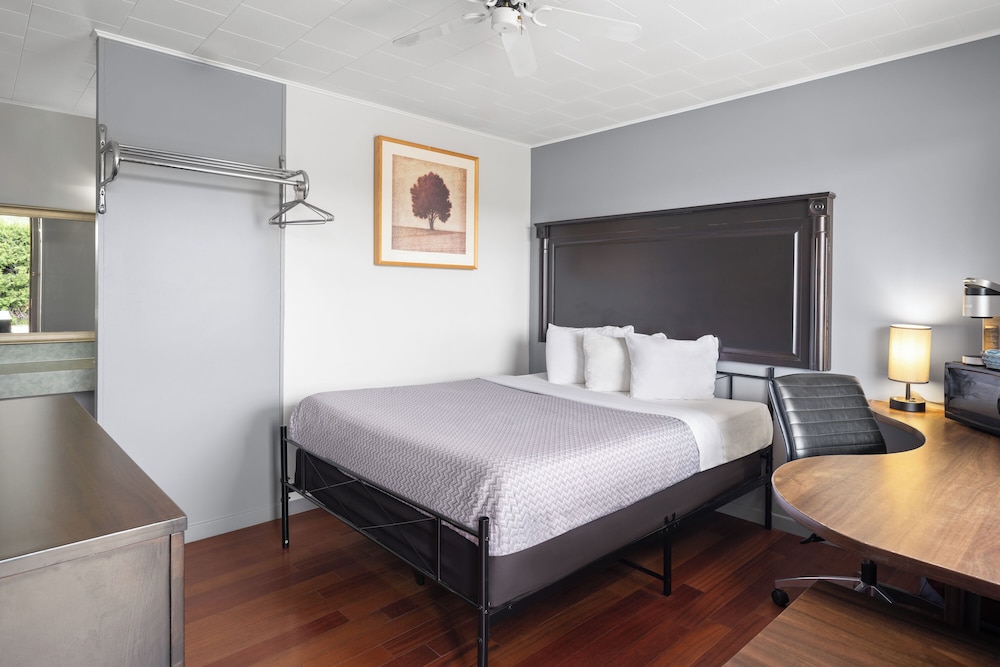 Room, 1 Queen Bed, Non Smoking