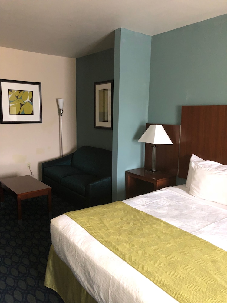 Business Single Room, 1 King Bed