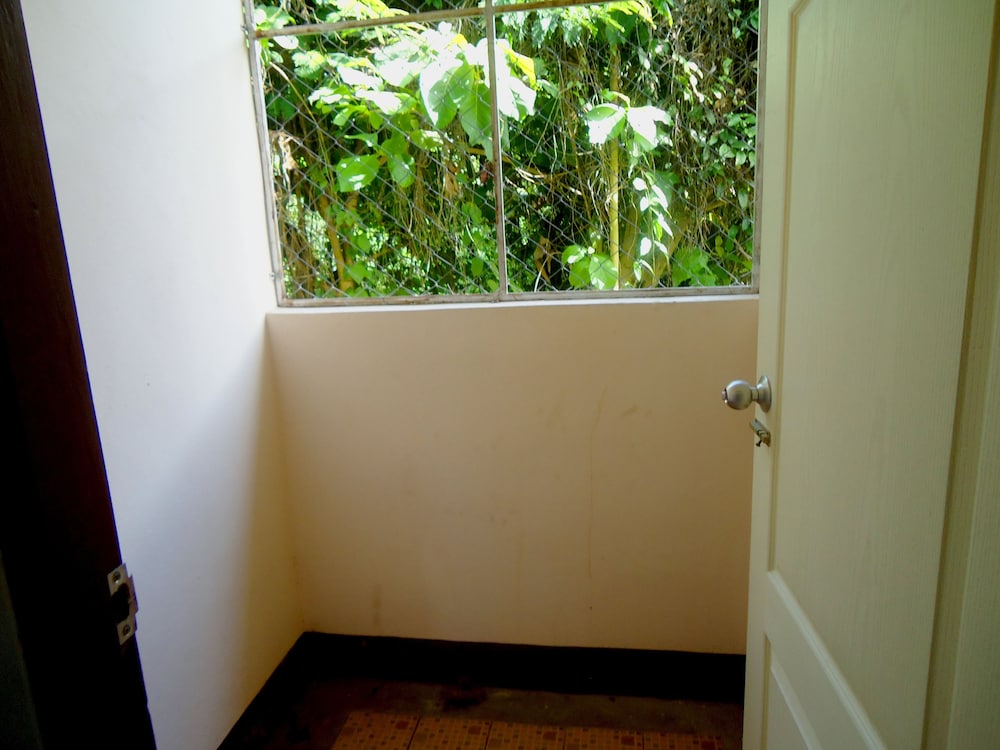 Standard Twin Fan Room photo 2