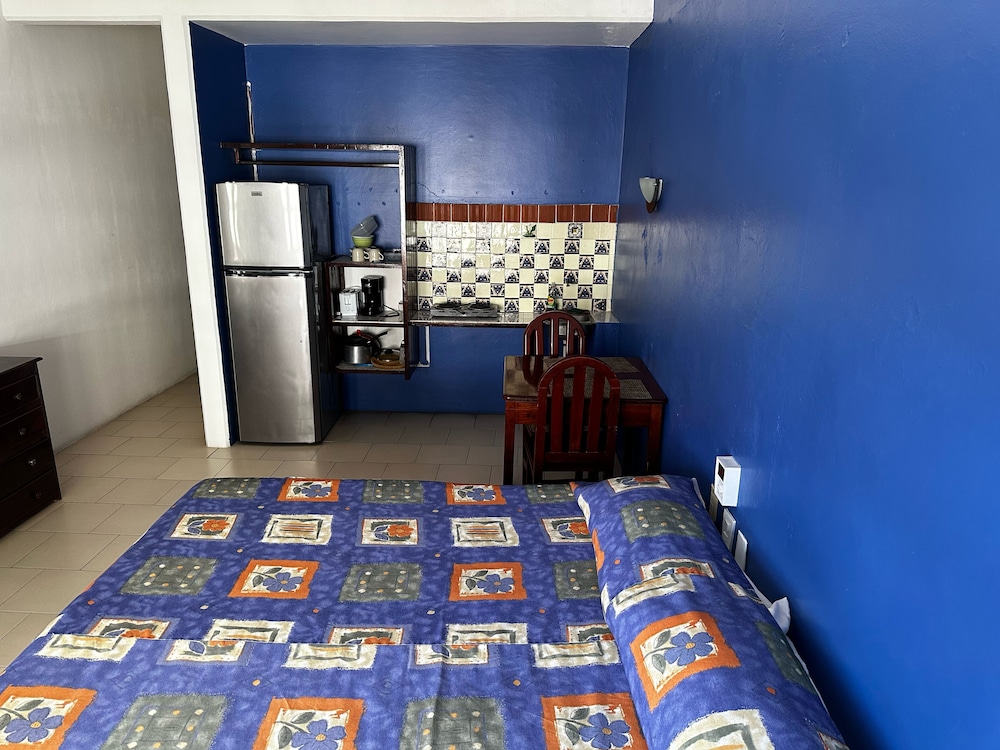 Junior Room, 1 King Bed photo 2