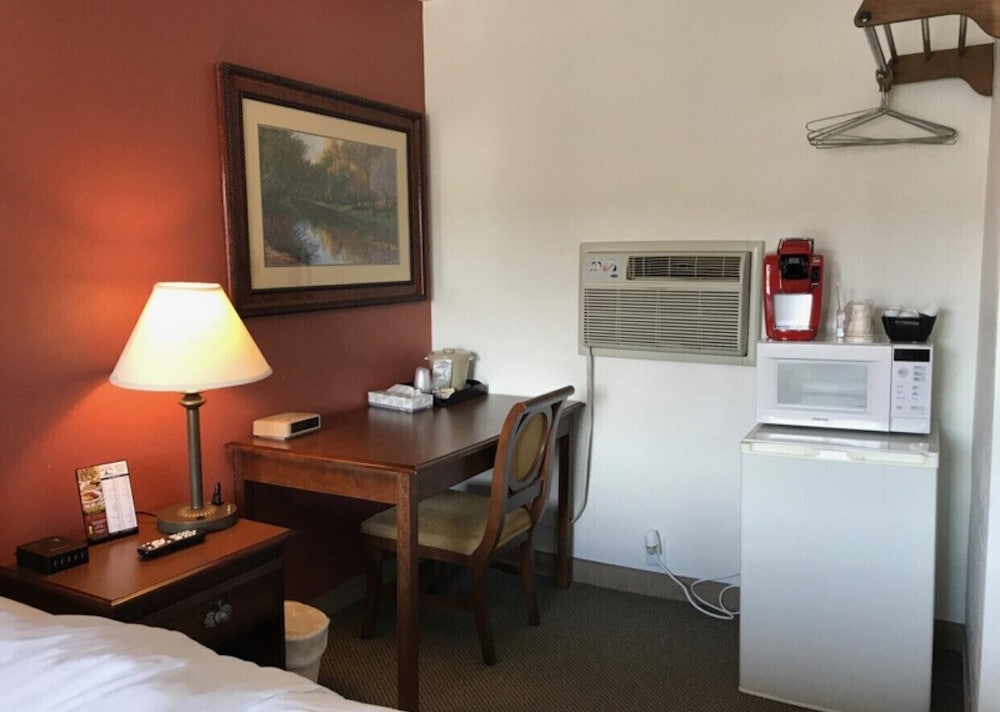 Basic Single Room photo 2