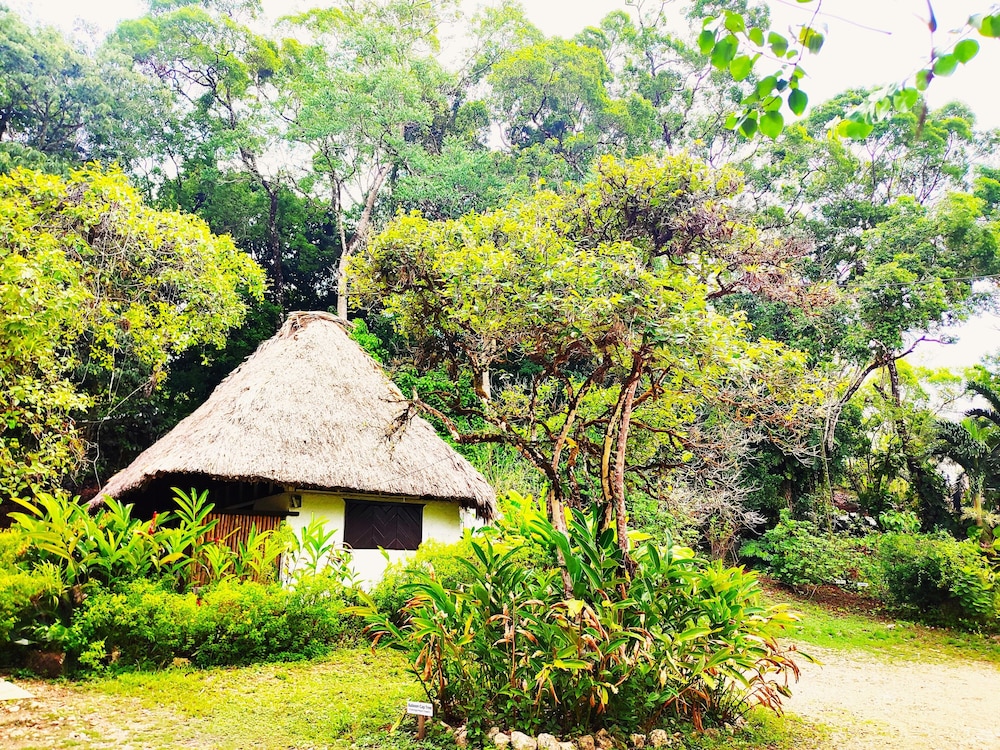 Standard Cabin, 1 Queen Bed, Pool Access, Garden View photo 1