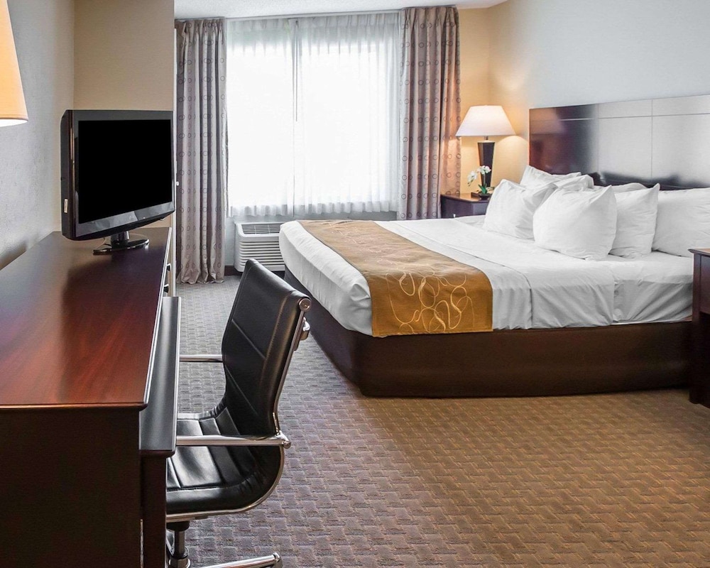 Suite, 1 King Bed with Sofa bed, Non Smoking (Pet Friendly) - Photo 3