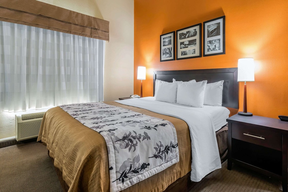Suite, 1 King Bed, Accessible, Non Smoking - Photo 1