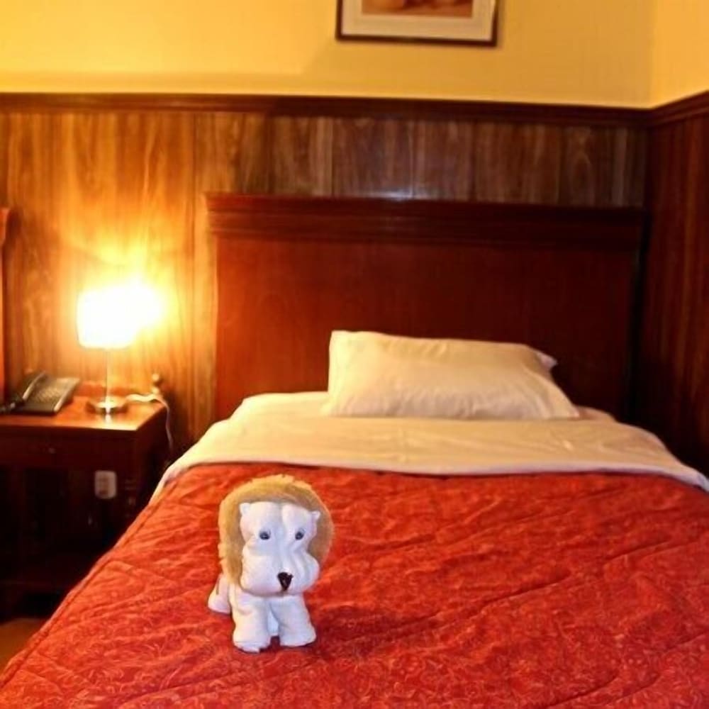 Single Room photo 1