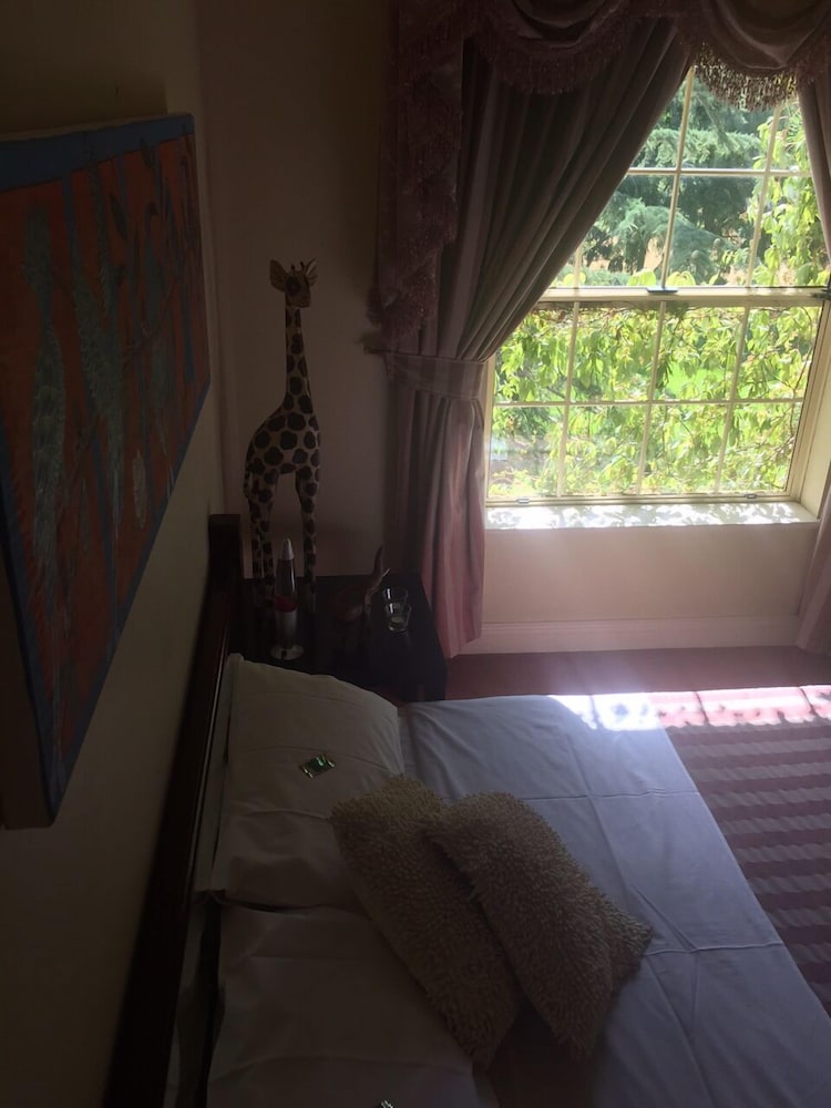 Safari Suite (Shared Bathroom) photo 1