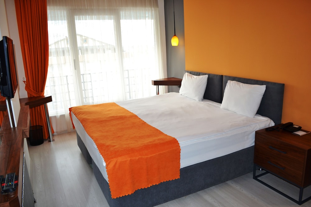Standard Double or Twin Room photo 1