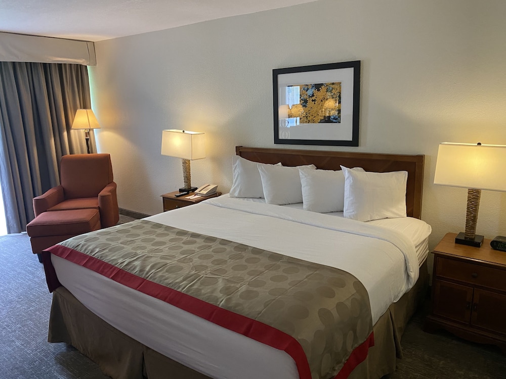 Room, 1 King Bed, Non Smoking photo 3