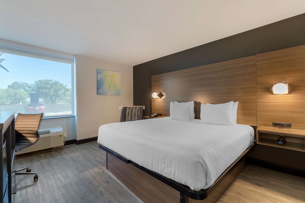 Standard Room, 1 King Bed, Accessible, Refrigerator & Microwave (Refrigerator & Microwave) - Photo 1