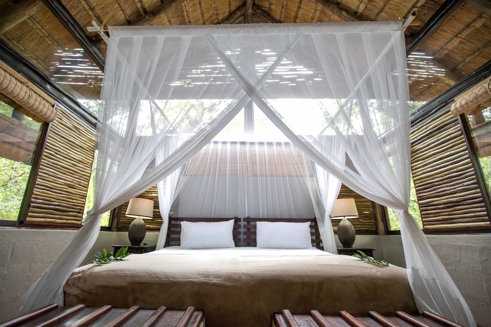 Bush Suite photo 1