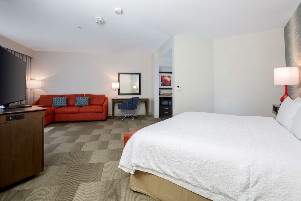 Studio, 1 King Bed, Accessible, Non Smoking - Photo 3