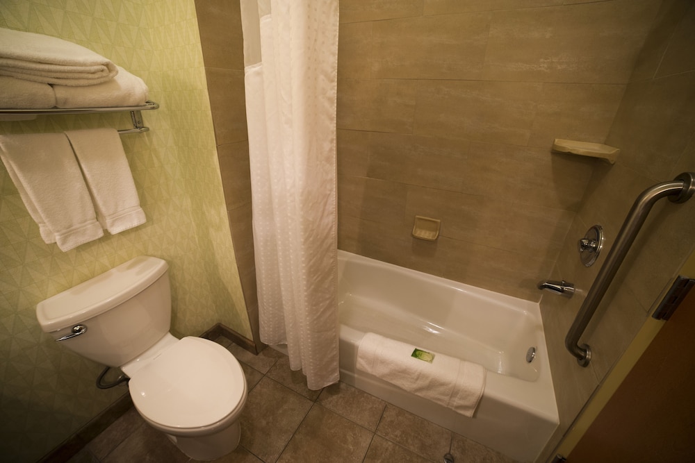 Suite, 1 King Bed with Sofa bed, Accessible (Communications) - Photo 6