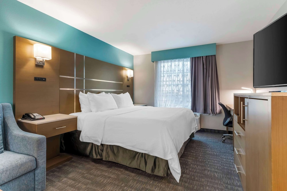 Suite, 1 King Bed with Sofa bed, Non Smoking, Refrigerator & Microwave (with Sofabed) photo 1