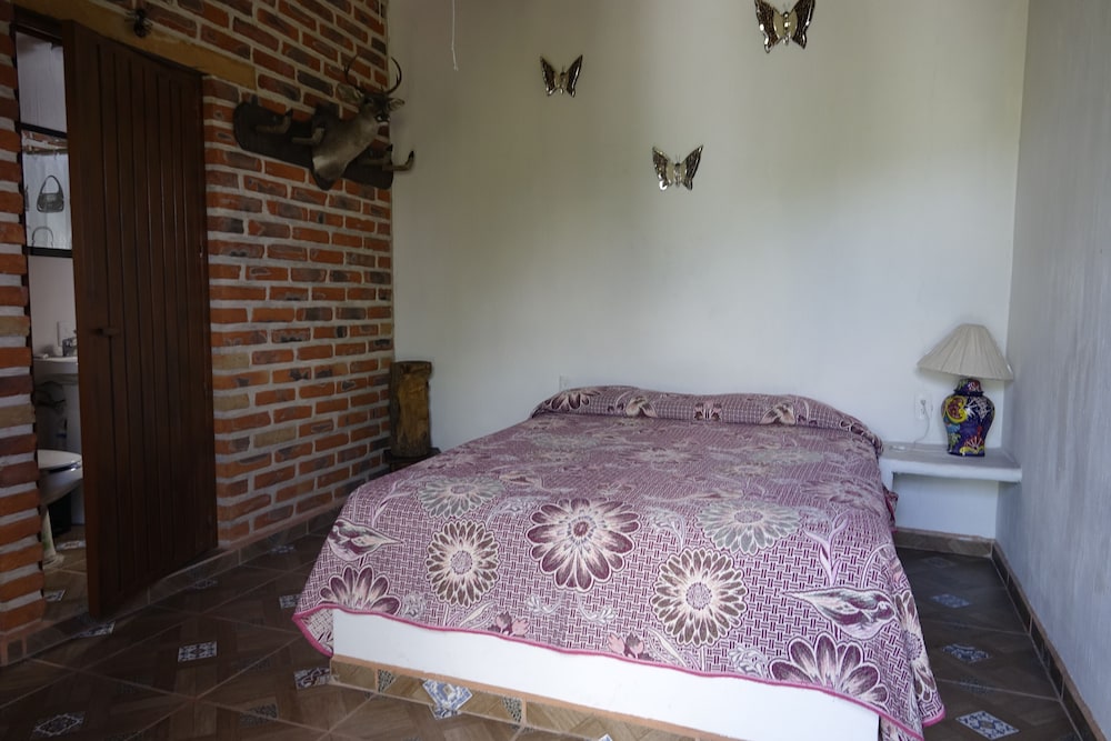 Basic Single Room photo 2