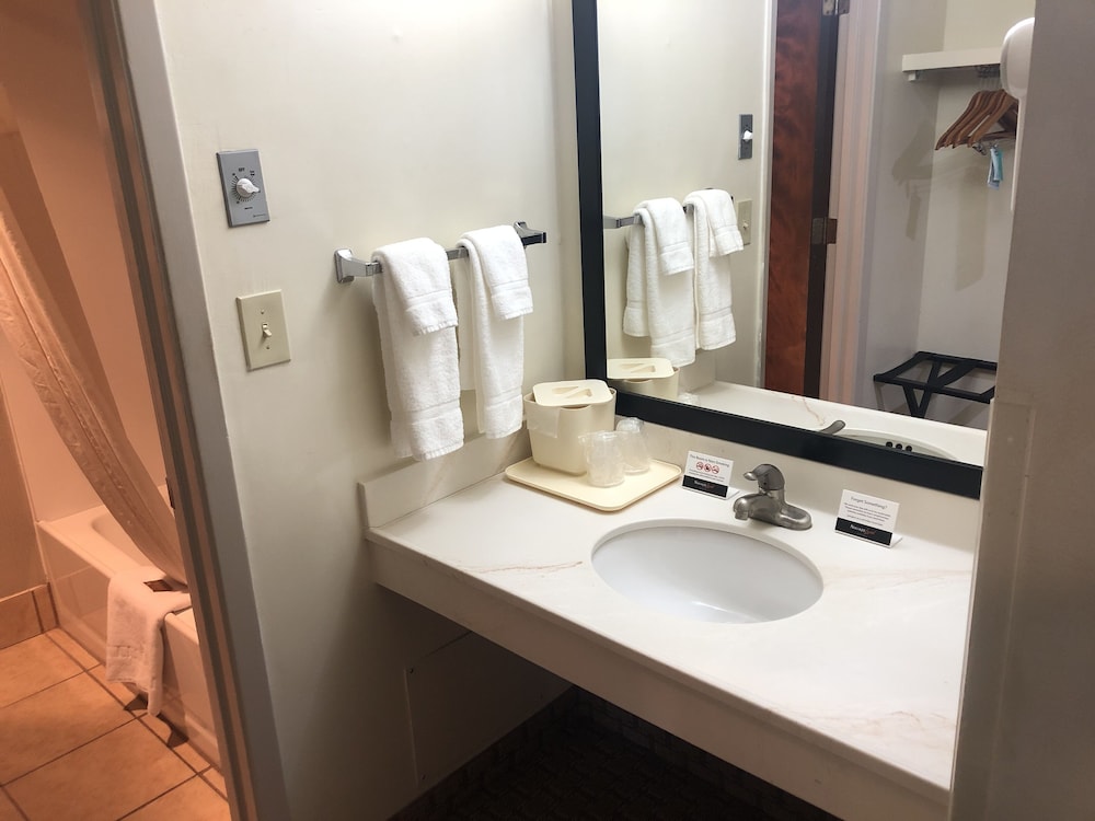 Double or Twin Room photo 3