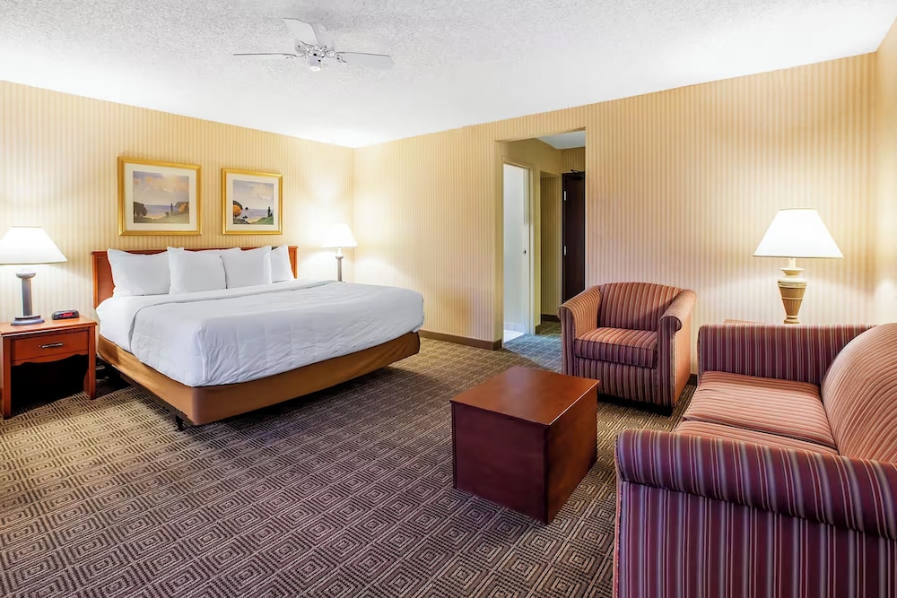 Standard Studio Suite, 1 King Bed, Non Smoking photo 1