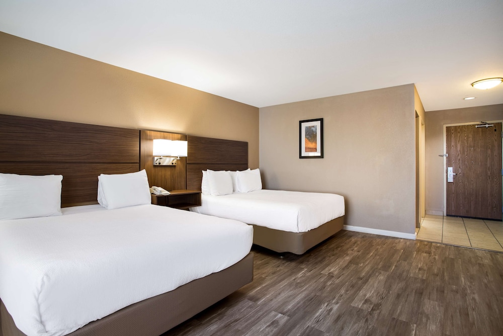 Standard Room, 2 Queen Beds, Accessible, Refrigerator & Microwave - Photo 4