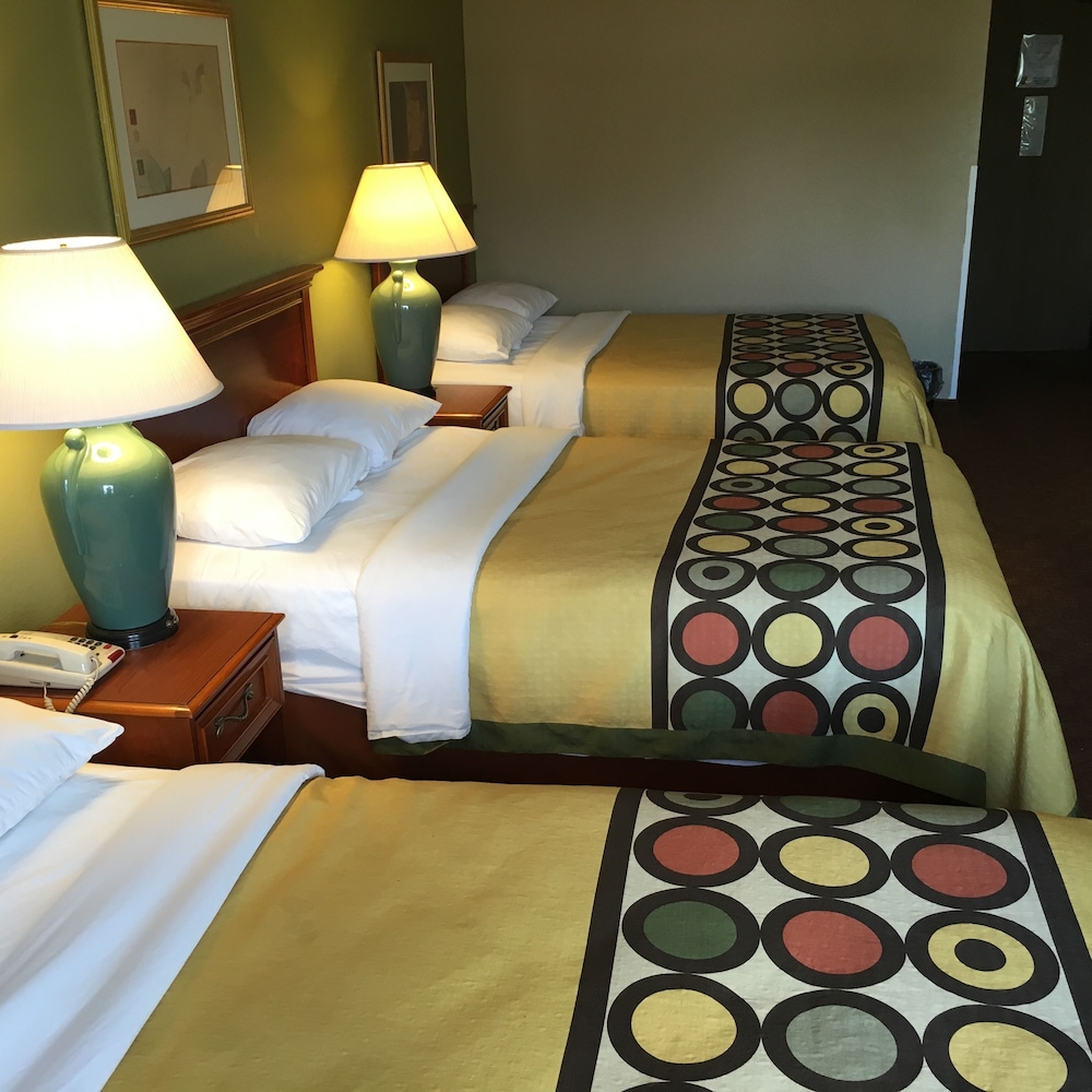 Studio Suite, Multiple Beds, Non Smoking - Photo 4