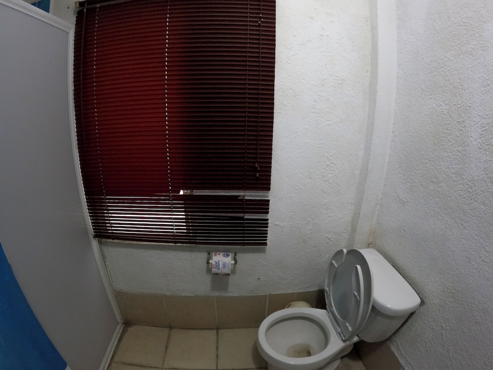 Family Quadruple Room photo 3