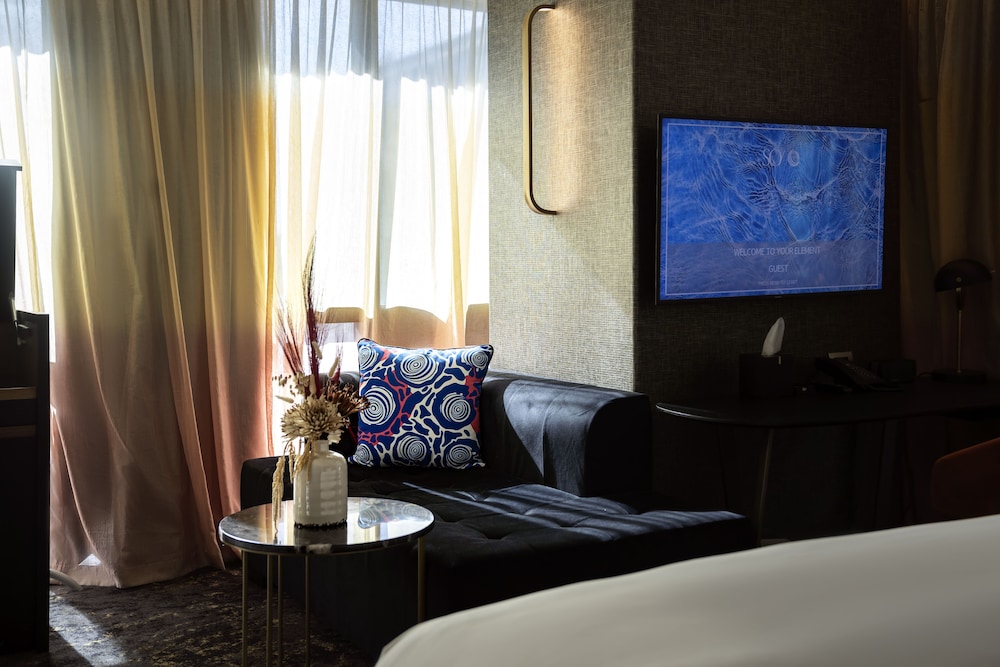 Studio, 1 King Bed