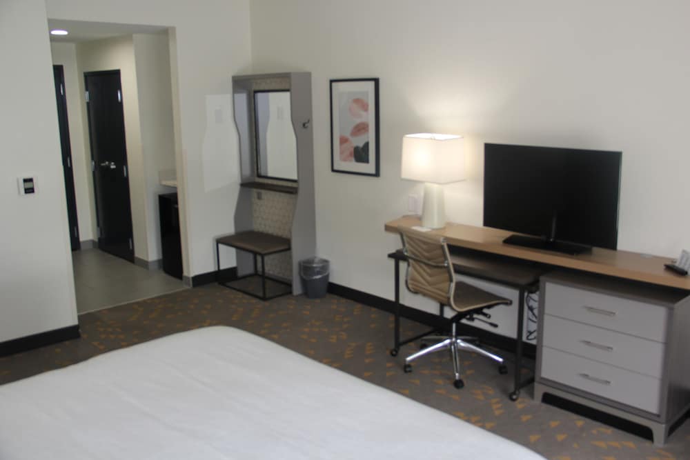 Standard Room, 1 King Bed, Roll-in Shower (Roll-In Shower) - Photo 3
