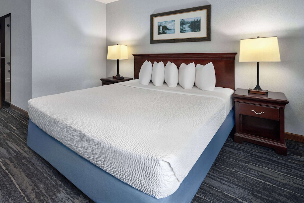 Room, 1 King Bed, Accessible - Photo 7