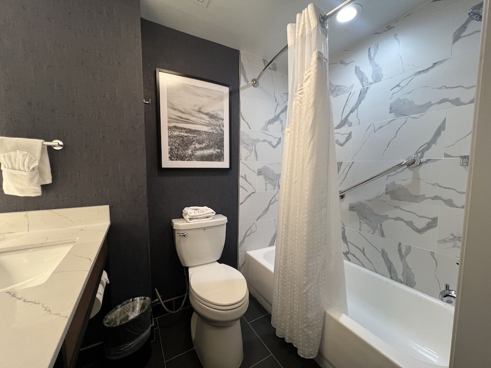 Room, 1 King Bed, Accessible Bathtub - Photo 3