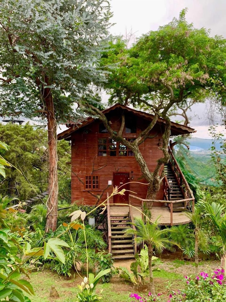 Tree House