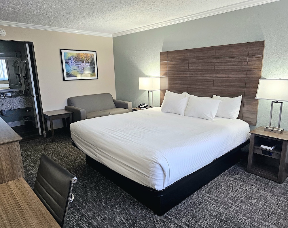 Premium Single Room, 1 King Bed, Ground Floor