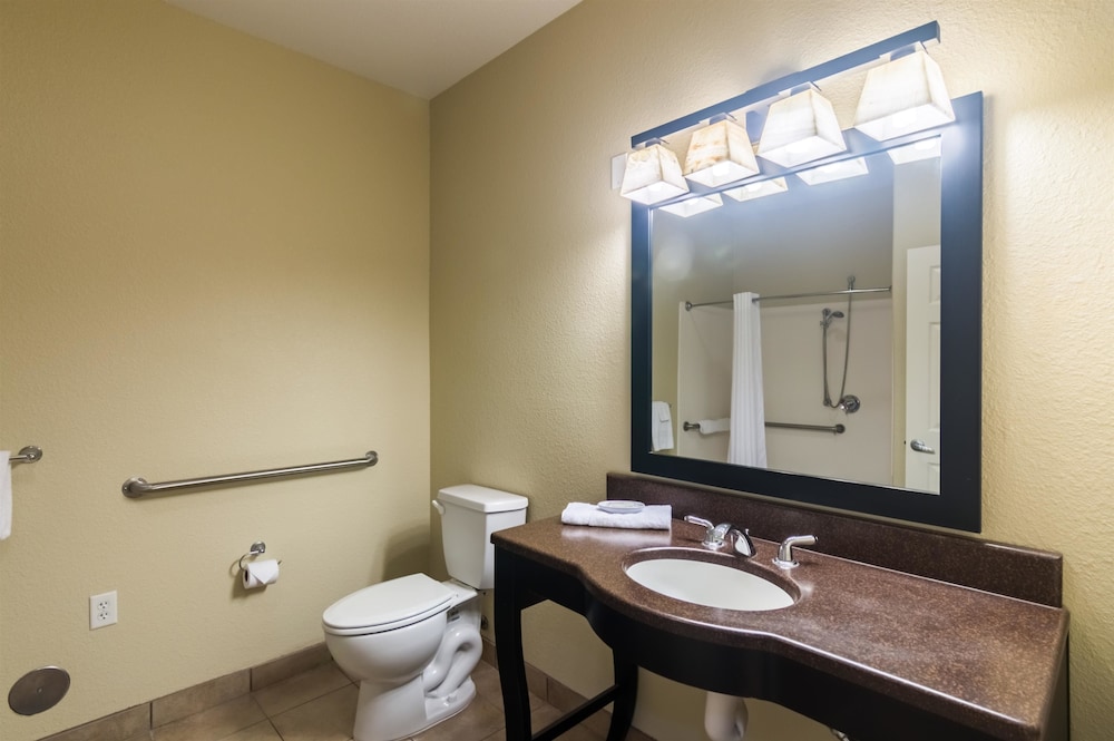 Deluxe Suite, 1 King Bed, Non Smoking, Kitchen photo 3