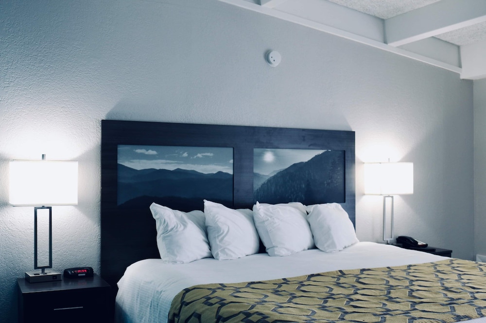 Studio Suite, 1 King Bed, Non Smoking photo 2