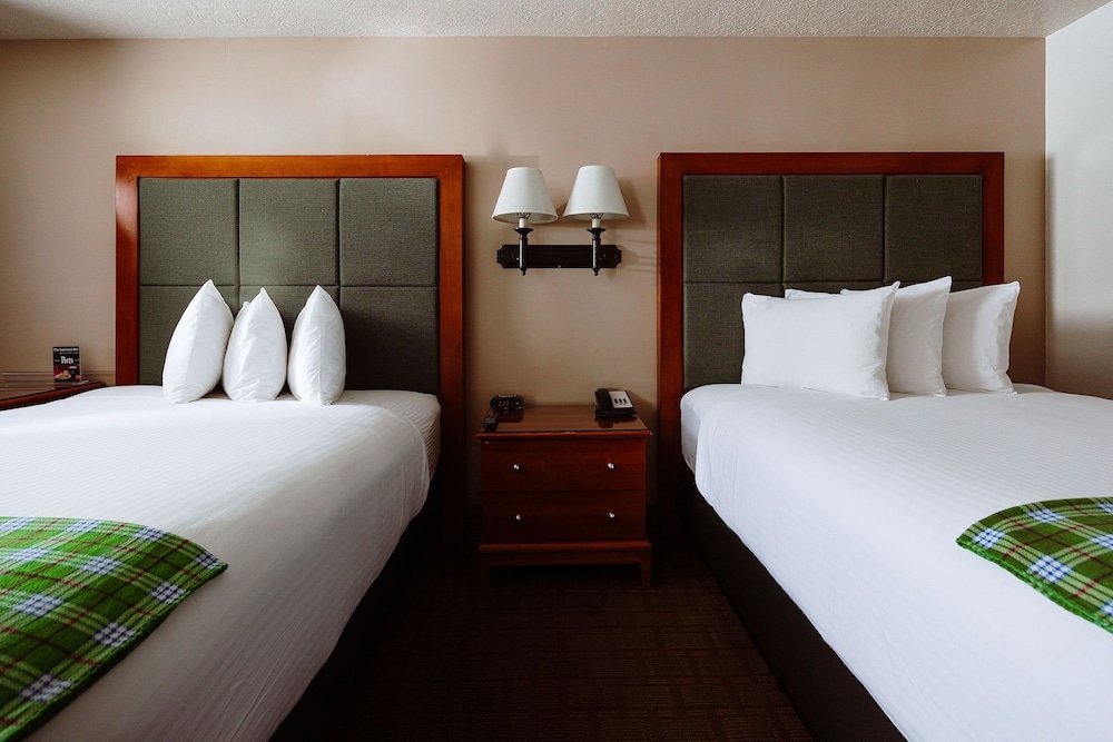 Standard Room, 2 Queen Beds, Non Smoking (Pet Friendly) photo 2