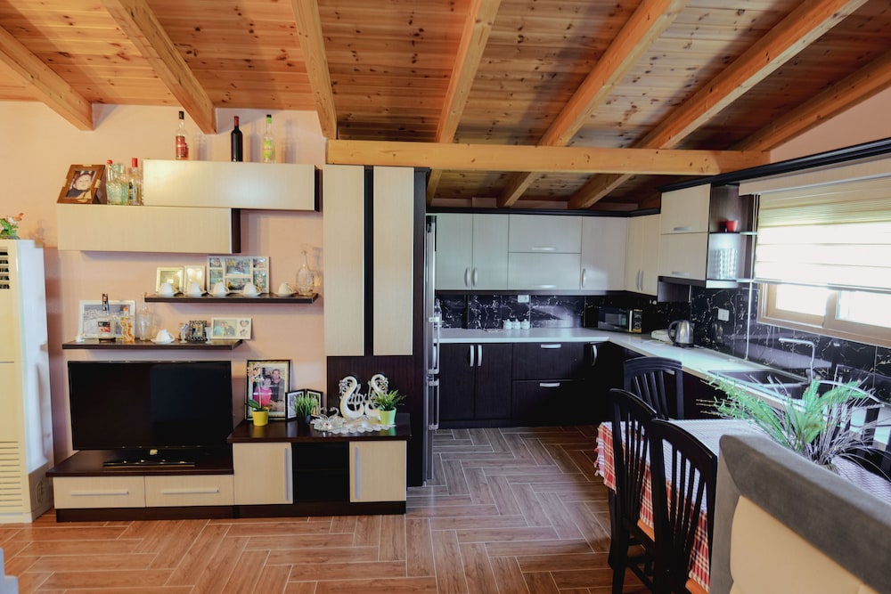 Penthouse photo 3