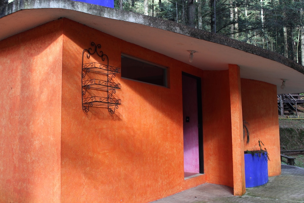 Basic Cabin photo 2