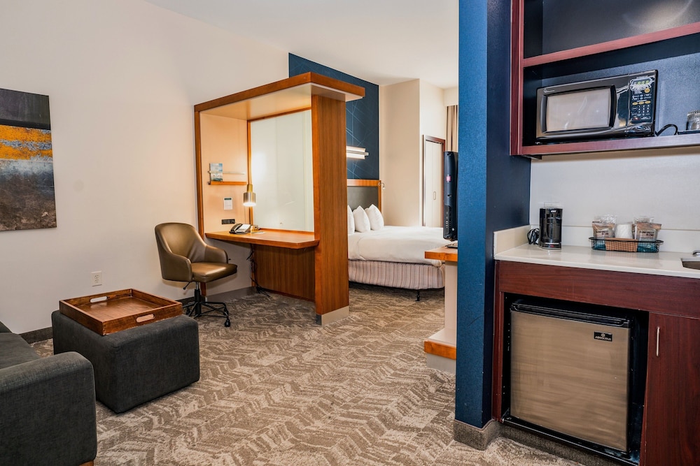 Suite, 1 King Bed with Sofa bed (Mobility Accessible, Roll-In Shower) - Photo 4