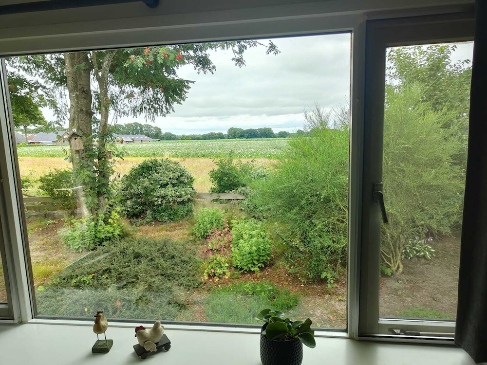 House photo 3