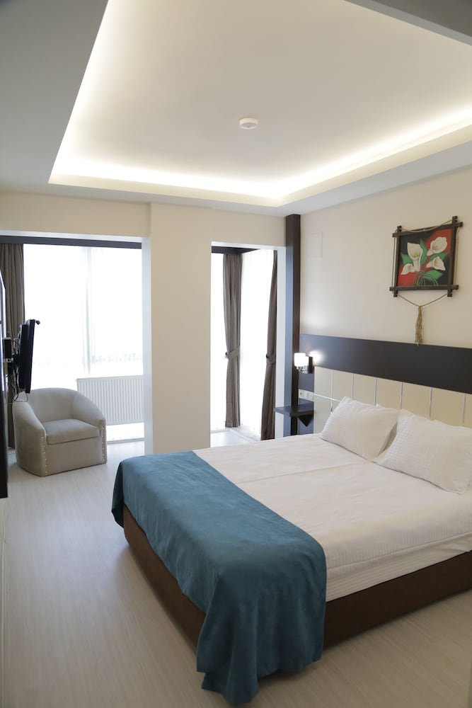Standard Double or Twin Room photo 3