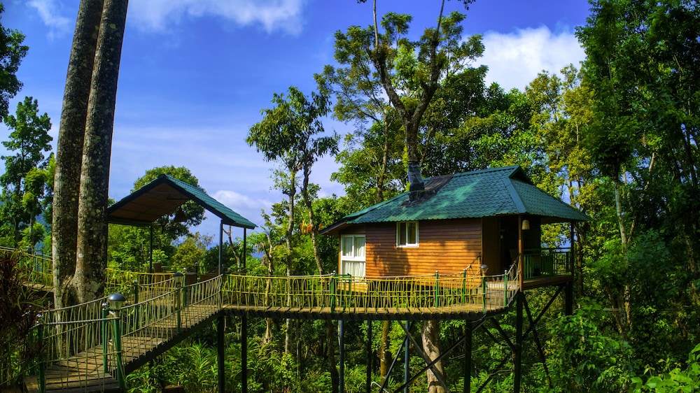 Standard Tree House, 1 Bedroom, Bathtub, Hill View photo 3