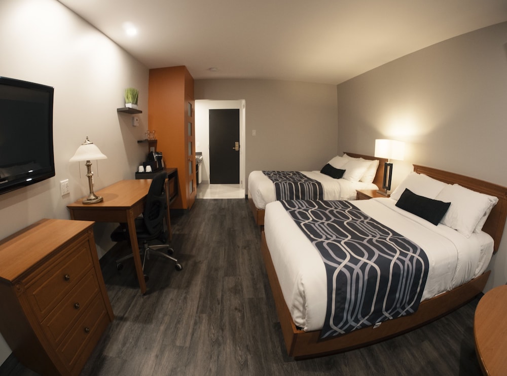 Superior Room, 2 Double Beds photo 1