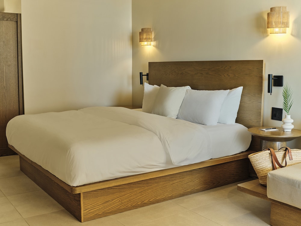 Studio Suite, 1 King Bed with Sofa bed, Roll-in Shower - Photo 2