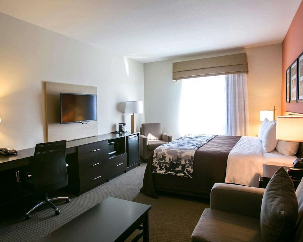 Suite, 1 King Bed with Sofa bed, Accessible, Non Smoking