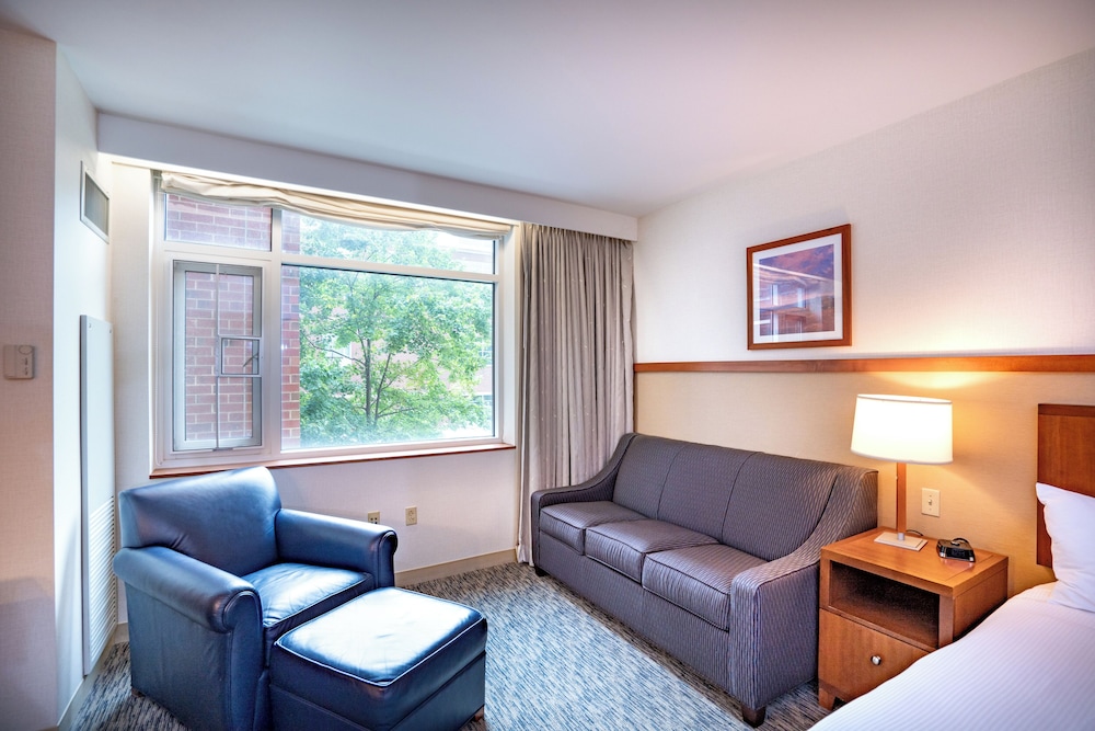 Standard Suite, 1 King Bed with Sofa bed photo 2