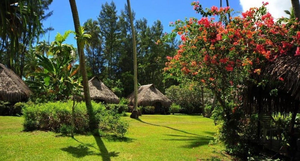 Bungalow, Double, Garden area, no air conditioning, fan only photo 3