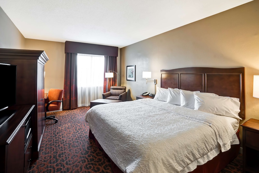 Room, 1 King Bed, Accessible, Bathtub (Hearing Impaired) - Photo 3