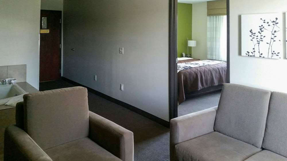 Suite, 1 King Bed with Sofa bed, Non Smoking - Photo 9