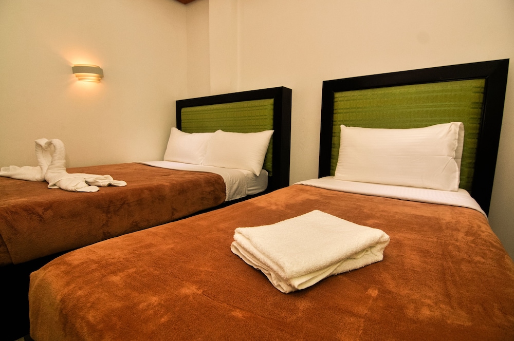Deluxe Twin Room photo 1